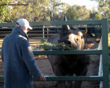 Jan Feeding the Rhino
