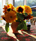 Friendly Sunflowers