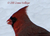 Talking Head - Snow in the Forecast!