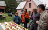 Tasting Different Types of Apples