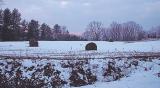 Hay bales