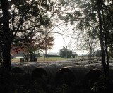 Dawn-on-the-farm.jpg