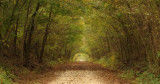 Katy-Tunnel.jpg