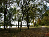 Riverview.jpg