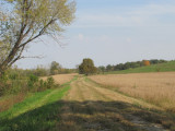 Farm-Levy.jpg