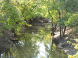 Reflections.jpg