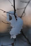 last snowfall