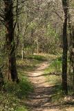 The trail to nature