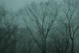 one dark and stormy night......