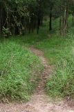 trail to...