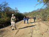 Hiking the road