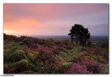 Leith Hill