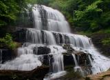 Waterfalls And Wildflowers Of The Carolinas