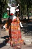 The Cow Parade - Museum of Anthroplogy, Mexico City