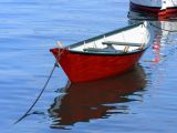 Dory in Halifax Harbour