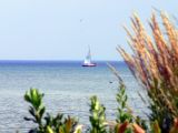 Sailing at Port Credit....