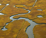 autumn marsh