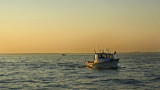 fishing at sunset