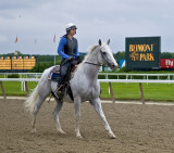 Belmont Park Racetrack