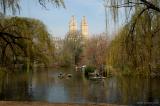 rowboats in Spring