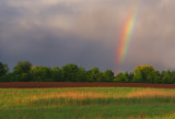 Southern Ontario Rainbow