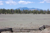 Fence and Peaks