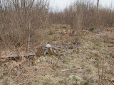 Stubbe med solplats - Stump with place to sun