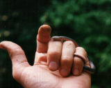 Worm Snake