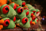 IMG_7872.jpg