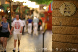IMG_7906.jpg