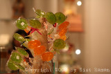 IMG_7996.jpg
