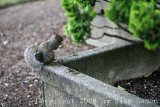 IMG_8147.jpg