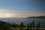IMG_8513.jpg