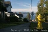 IMG_8515.jpg