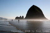 IMG_8637.jpg