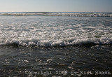IMG_8652.jpg
