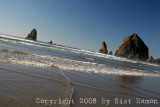 IMG_8654.jpg