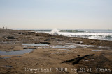 IMG_9251.jpg