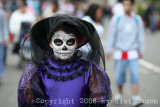 IMG_9503.jpg