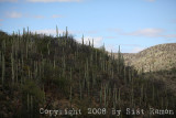 IMG_0171.jpg
