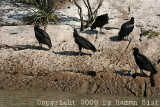 IMG_0856.jpg
