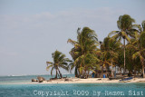 IMG_1982.jpg