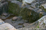 IMG_8889.jpg