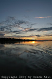 IMG_9909.jpg