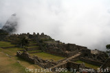 IMG_0829.jpg