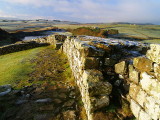 Looking west across Milecastle 42.