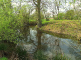 Edwyn Ralph motte with fully wet moat.