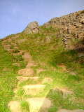 World Heritage Trail  footpath, neatly   ascends  the  hill  from  Sycamore  Gap.