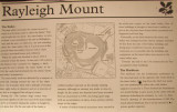Rayleigh  Mount / 1 : A  Saxon   castle