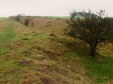 Wansdyke   re-appears  at  the  top  of  the  hill